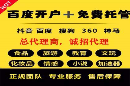 行业报告：专业SEM托管的成功实践与挑战