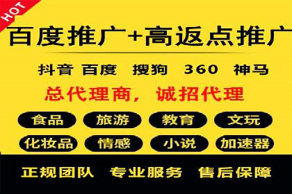 百度竞价赚钱的实战案例分析